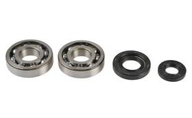 Athena P400485444038 Crankshaft Bearing Seal Kit