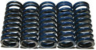 Cs264-5-0409 Racing High Springs Temp 5 Pack Kawasaki Clutch - Hinson