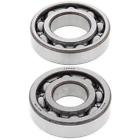 24-1036b Dr100 Boss Bearing Suzuki Main Crank