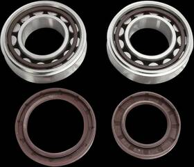 Ncwywm8d6i Hot Rods Main Crankshaft Crank Shaft Bearing And Seal Kit Ktm 250 Exc F 18-21