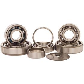 Tbk0043 Hot Rods Transmission Bearing Kit Fits Honda Cr250r 2002-2004