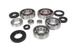 K-kx250-bk83 Boss Bearing Engine Bottom End Bearings And Seals Kit Kawasaki