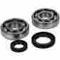 K023 Hot Rods Crankshaft Main Bearing And Seal Kit New Yamaha Raptor 350