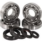 Kx125b1 K237 Hot Rods Main Bearing And Seal Kit Kawi
