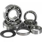 M1-bl-b Hot Rods Transmission Bearing