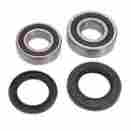 Pwrws-k22-000 Mfg Pivot Works Rear Wheel Bearing Kit Kawasaki 650r Ninja 2009
