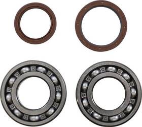 232548 Moose Racing Crankshaft Bearing And Seal Kit Beta 350 Rr/390 Rr/430 Rr/480 Rr