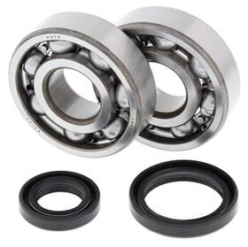 Msr 413858 1989-2008 Suzuki Rm125 Rm250 Kawasaki Kx125 Kx250 Crankshaft Bearing Kit