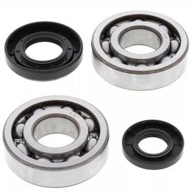 Msr 413866 01-24 Yamaha Yz250 2-stroke Crankshaft Bearing Kit 24-1029