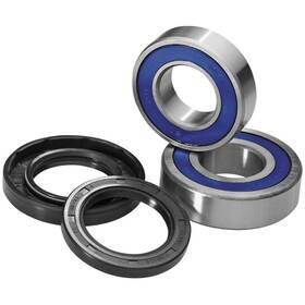25-1143 Msr Hp 41-3938 Bearing And Seal Kit 25-1063 Front