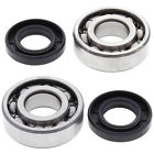 Pps-0958 Power Parts Pros New Crank Bearing And Seal Kit For