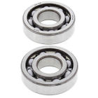 Pps-1963 Power Parts Pros New Crank Bearing Kit For Honda Atc