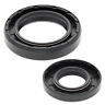 Pps-5876 Power Part Pros New Crank Shaft Seal Kit 644824022161