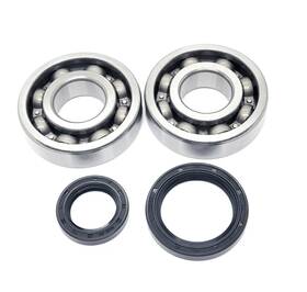 Pro Moto 48-2040 6-b-9 Rm250 Main Crank Shaft Bearings And Seals Kit 94-95 Suzuki Rm250s Rm250r