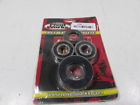 Pwrws-s03-000 Pivot Works Rear Wheel Bearing And Seal Kit
