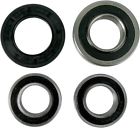 Pwrws-s17-000 Pivot Works Wheel Bearing Pwrws-s17-000 Pivot Works Wheel Bearing