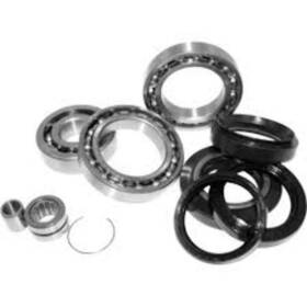 413026 Quadboss Differential Bearing Seal Kit Rear Polaris Magnum 325 00-02