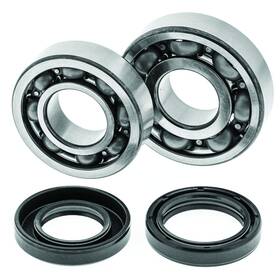 413259 Quadboss Fits 88-06 Yamaha Yfs200 Blaster Crankshaft Bearing And Seal Kit