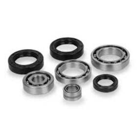 413396 Quadboss Differential Bearing Seal Kit Rear Kawasaki Klf300c Bayou 89-05