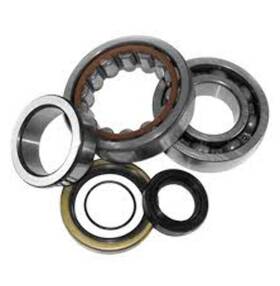 414078 Quadboss Crank Shaft Bearing Kit Polaris 400l