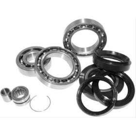 417754 Quadboss Rear Differential Bearing And Seal Kit 417754 Quadboss Rear Differential Bearing And Seal Kit