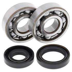 Ab241008 Rad Powersports 1011149 Fits 2005 Kawasaki Kx125 Crank Bearing And Seal Kit 9411101