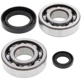 Ab241004 Rad Powersports 911131 Fits 1998 Honda Cr500r Crank Bearing And Seal Kit 131119