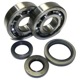 P400510444003a1 Rareelectrical New Crankshaft Bearing And Seal Kit Fits Suzuki Rm 250cc By P400510444003