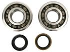 Rcck042 Rcchot Rds Premium Quality Crank Seals And Bearing Kit Suzuki