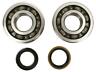 Rcck050 Rcchot Rds Premium Quality Crank Seals And Bearing Kit Suzuki