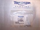 T3800110 Triumph Bonneville Bearing In