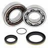 Ab28970 Tc 250 All Balls Husqvarna Crank Shaft Bearing Kit For