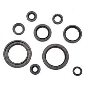 133-914-0066 Tusk Engine Oil Seal Kit