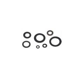 55128 Winderosa Crankcase Oil Seal Kit