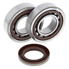 Ab-24-1106-b030326 Xc 450 Atv All Balls Ktm Crank Shaft Bearing Kit For