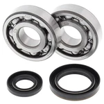 Balls Crank Shaft Bearing Kit For Suzuki RM250 1989-1993. Fixed Price $96.03.
