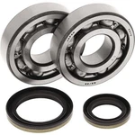 Balls 24-1021 Crank Bearing And Seal Kit. Fixed Price $104.95.