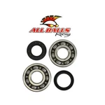 24-1065 Balls Crank Bearing And Seal Kit. Fixed Price $135.85.