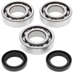 Balls Racing Crank Bearing And Seal Kit For Polaris Big Boss 250 6X6 93. Fixed Price $102.36.