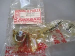 Nos Kawasaki Oem Needle Bearing 1977-1979 KE250 92046-057. Fixed Price $53.90.