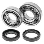For Yamaha Blaster 1988-2006 Quadboss Crankshaft Bearing & Seal Kit. Fixed Price $87.16.