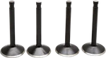 Kibblewhite Engine Valve Kit 20-22400. Fixed Price $114.31.