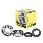 Pro Crankshaft Bearing And Seal Kit CSB1WUF-X001-Y027. Fixed Price $38.94.