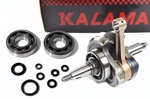 For Yamaha Raptor 700 06 14 Racing Engine Rebuild Crank Shaft Bearings Oil Seals. Fixed Price $399.00.