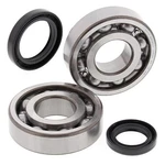 Balls Crank Shaft Bearing Kit For Suzuki LT-500R 1987-1990. Fixed Price $129.70.