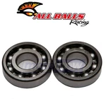 Balls Crank Bearing And Seal Kit For 1985-1988 Kawasaki KLF185 Bayou Qo. Fixed Price $61.22.