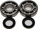 Balls 24-1045 Crankshaft Bearing And Seal Kit. Fixed Price $86.88.