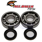 Balls Crank Bearing And Seal Kit For 1991-2006 Kawasaki KDX200 Engine Dr. Fixed Price $86.88.