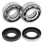 New Balls Racing Crank Bearing And Seal 24-1070 For Suzuki Ts 100 73-77. Fixed Price $60.23.