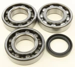 Balls Crankshaft Bearing And Seal Kit 24-1090. Fixed Price $108.57.